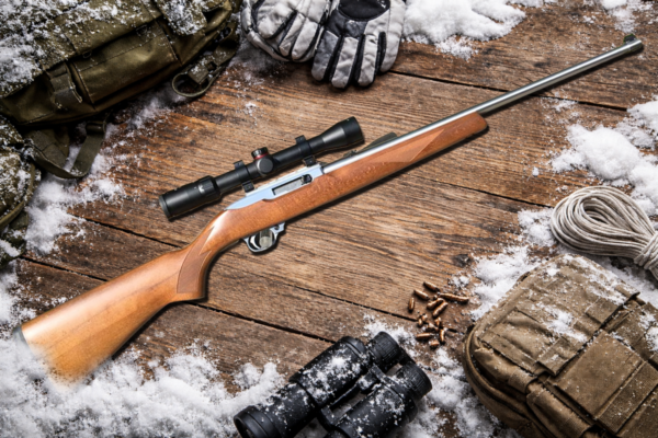 Why the Ruger 10/22 Refuses to Fade Away